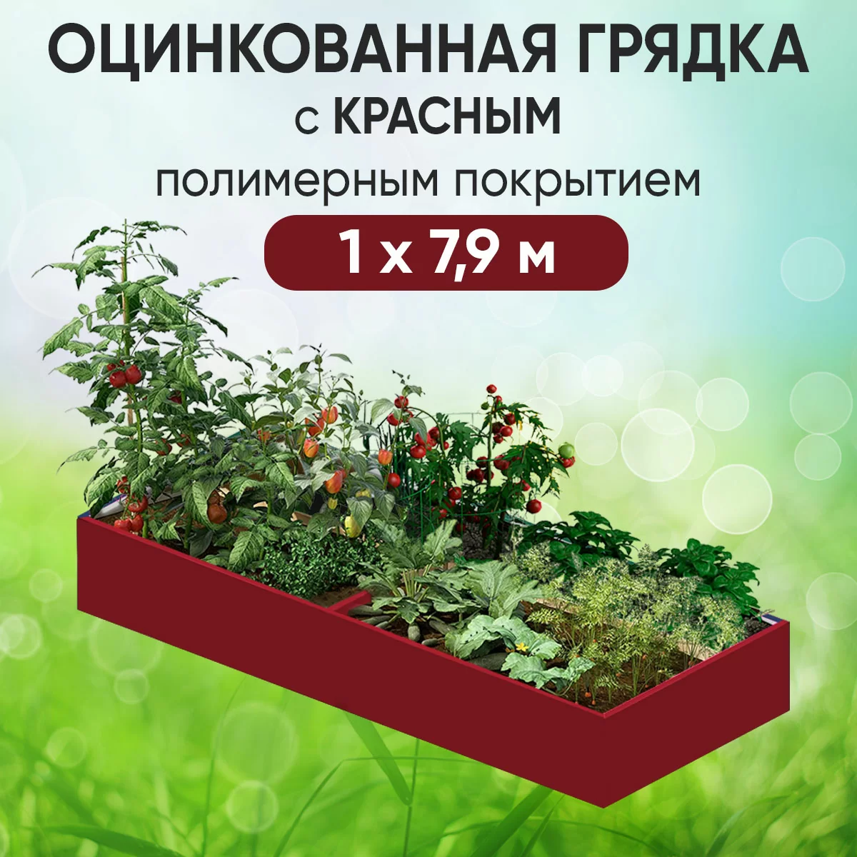 Грядка красная (1 х 7,9)